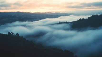 Foggy Valley Landscape
