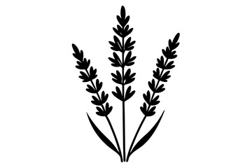 A Beautiful silhouette art vector design