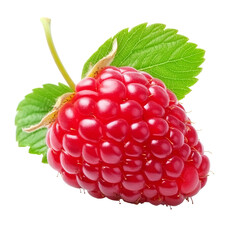 Raspberry with green leaves on white