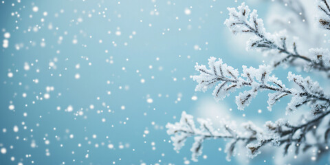 Branch of snowy green spruce, Christmas tree on blue background with snowfall. Winter template, banner concept for Christmas, New Year and sale season. Web card and backdrop with space for text
