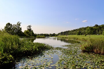 The pond in the park on a sunny evening day.