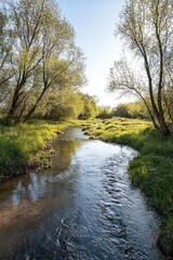 River runs through lush green forest