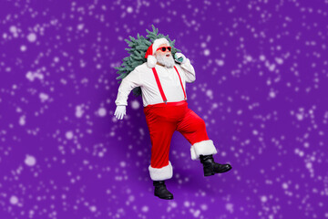 Full length photo of funny fat santa father holding x-mas tree on shoulder walking to party stylish look wear sun specs red white costume isolated purple background