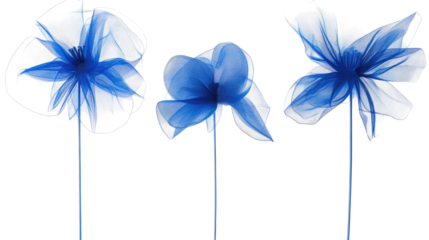 Delicate Blue Floral Set on a Clear Background Generative AI