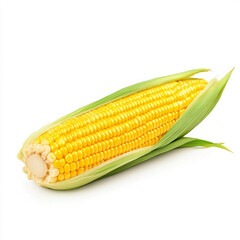 A fresh cob of corn with bright yellow kernels, isolated on a white background, highlighting a versatile vegetable