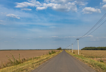 A long road with a few trees in the background