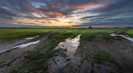 A field with puddles of water and a sunset in the background