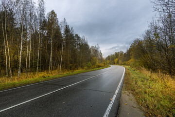 A road with trees on either side and a cloudy sky