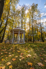 A white gazebo sits in a field of yellow leaves