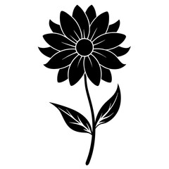 black and white coreopsis flower