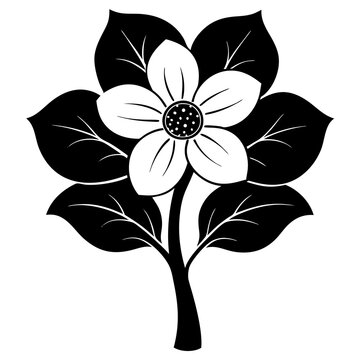 recommend clip art: black and white flower
