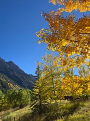 Fototapeta premium autumn in the mountains
