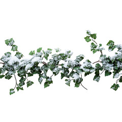 branch of a tree