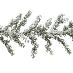 christmas tree branch