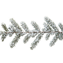christmas tree branches