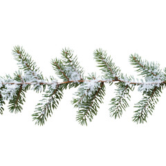 christmas branch