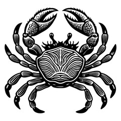 illustration of a crab