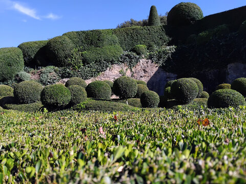A classical French garden, Un jardin classique &agrave; la fran&ccedil;aise