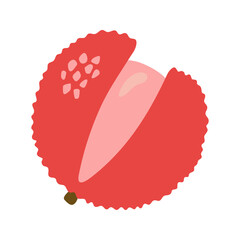 Single open juicy lychee. Hand drawn cartoon summer fruit illustration.