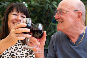 Smiling defocused senior couple sitting at restaurant table toasting with two red wineglasses