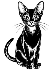 Obraz premium black and white cat