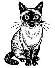 Obraz premium black and white cat