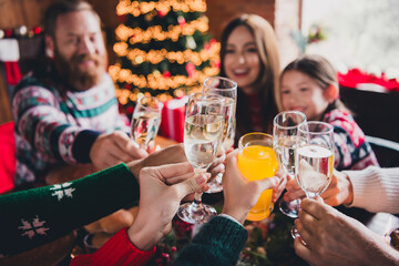 Cropped photo of big full family clink champagne juice celebrate christmas festive time apartment indoors