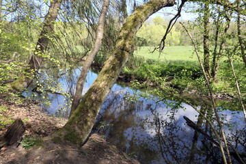 Rodau bei Laemmerspiel