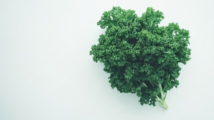 Fototapeta premium A bunch of fresh curly kale is laid out on a pristine white background, highlighting its deep green color and ruffled leaves, perfect for dietary dishes or salads