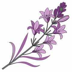 background with flowers