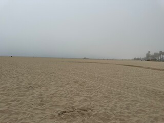 sand dunes on the beach