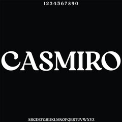 modern and luxury alphabet font vector