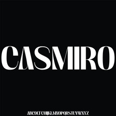 modern and luxury alphabet font vector