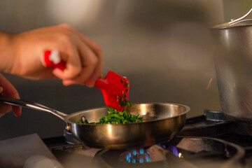 fotos de chef y sis preparacines en la cocina