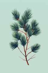 Pine branch sketch plant tree.