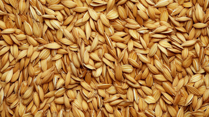 Golden grains are piled densely, filling the entire frame. Concept: abundance, agriculture, harvest.