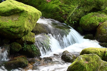 Gertelbachfaelle im Schwarzwald