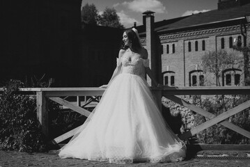 Obraz premium Bride in a white wedding dress near palace