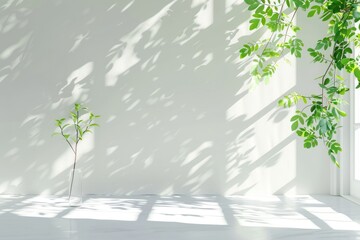 Obraz premium White table with spring window and green plant decoration.