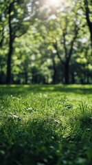 Naklejka premium Lush green grass under sunlight in a serene park during the afternoon