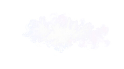 Fototapeta premium smoke explosion effect isolated on transparent background, png