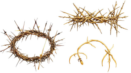 Fototapeta premium Collection of Jesus' Crowns of Thorns on a Transparent Background Generative AI