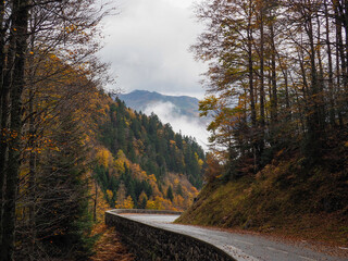 Carretera de monta&ntilde;a en oto&ntilde;o con niebla en las monta&ntilde;as