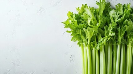 A bunch of freshly harvested green celery is displayed prominently against a bright white background, showcasing its vivid color and crisp texture, perfect for culinary uses
