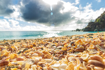 Peaceful beach in Saint Barthelemy (St. Barts, St. Barth) Caribbean