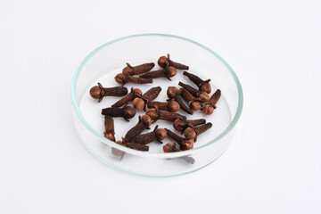 Dried cloves in a petri dish, white background