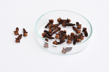 Dried cloves in a petri dish, white background