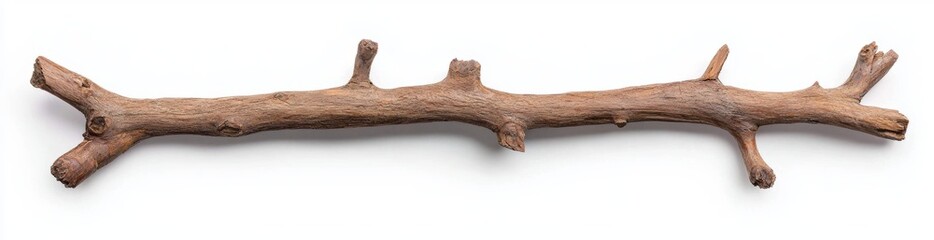 Fototapeta premium An isolated white background shows a magic stick and a wooden walking stick