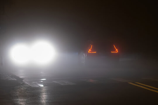 During a foggy evening, the headlights of a passenger car illuminate the road, bordered by an overgrown roadside.