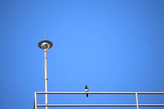 Lightning rod against a blue sky